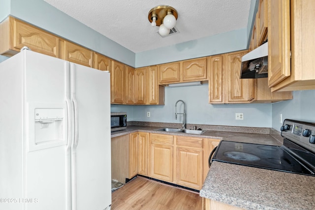 1986 Pulaski Dr, Beaufort, SC 29906 - kitchen with light wood-type flooring, a sink, a textured ceiling, stainless steel appliances, and exhaust hood