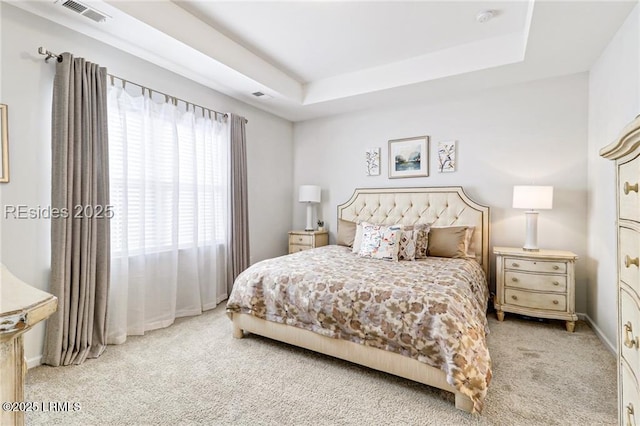carpeted bedroom with a raised ceiling