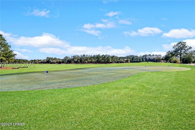 view of community featuring a yard