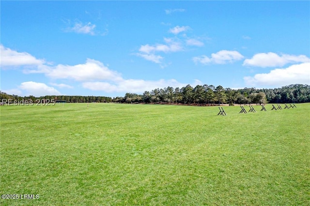 view of yard with a rural view