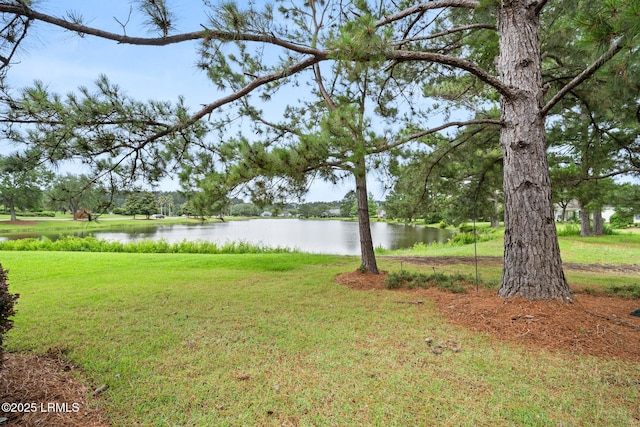 7 Fenwick Dr, Bluffton, SC 29909 - view of grassy yard with a water view