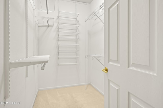 7 Fenwick Dr, Bluffton, SC 29909 - walk in closet with light carpet