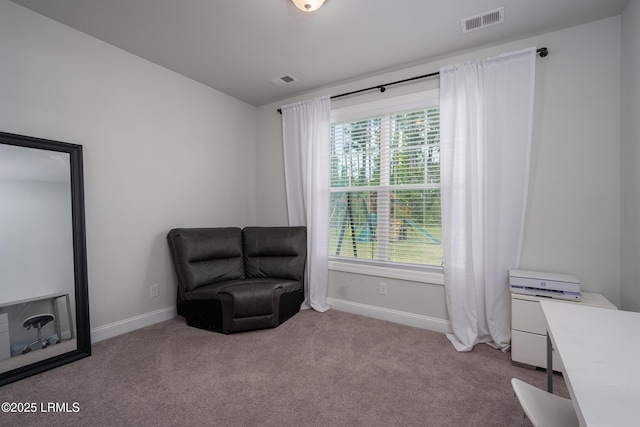 107 Runner Stone Rd, Bluffton, SC 29909 - photo 25