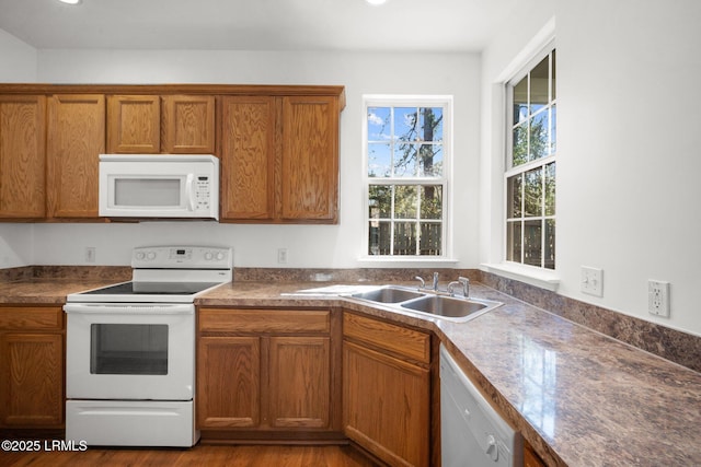 kitchen featuring a sink, white appliances, brown cabinets, and wood finished floors