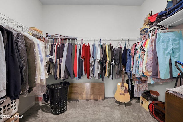 54 Great Bend Dr, Beaufort, SC 29906 - walk in closet featuring carpet