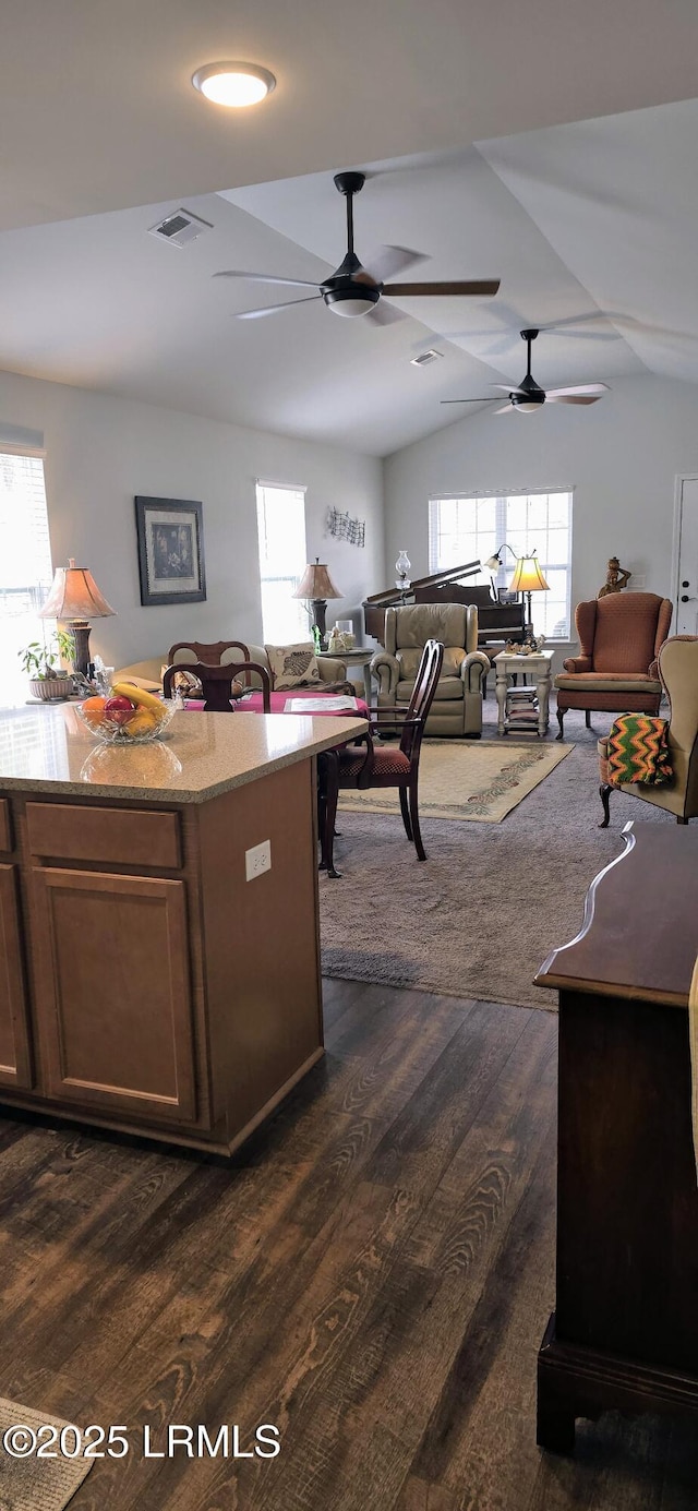 kitchen with lofted ceiling, a healthy amount of sunlight, dark hardwood / wood-style floors, and a center island