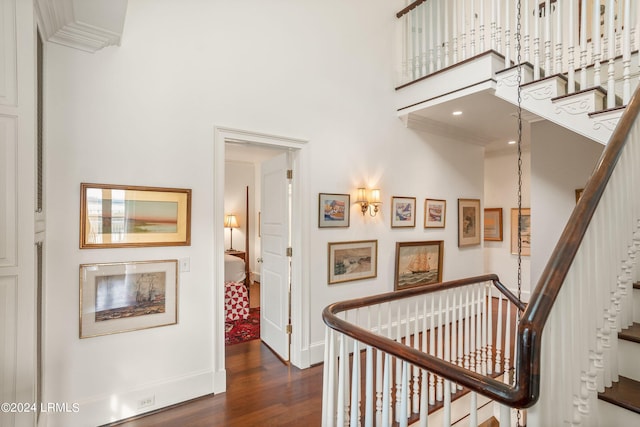 hallway featuring a high ceiling, crown molding, and dark hardwood / wood-style floors