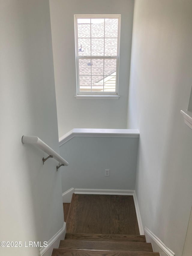 stairway with hardwood / wood-style floors