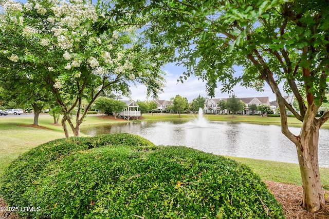 property view of water