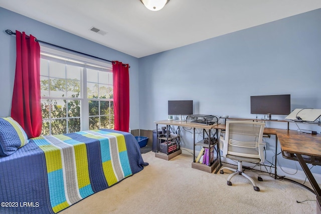 96 Wintergreen Dr, Beaufort, SC 29906 - photo 24