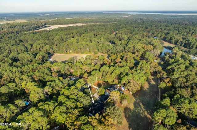 100 Thomas Sumter St, Beaufort, SC 29907 - aerial view of property's location with a forest