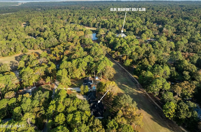 100 Thomas Sumter St, Beaufort, SC 29907 - aerial view of property and surrounding area featuring a forest