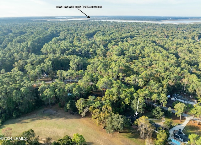 100 Thomas Sumter St, Beaufort, SC 29907 - aerial view of a forest
