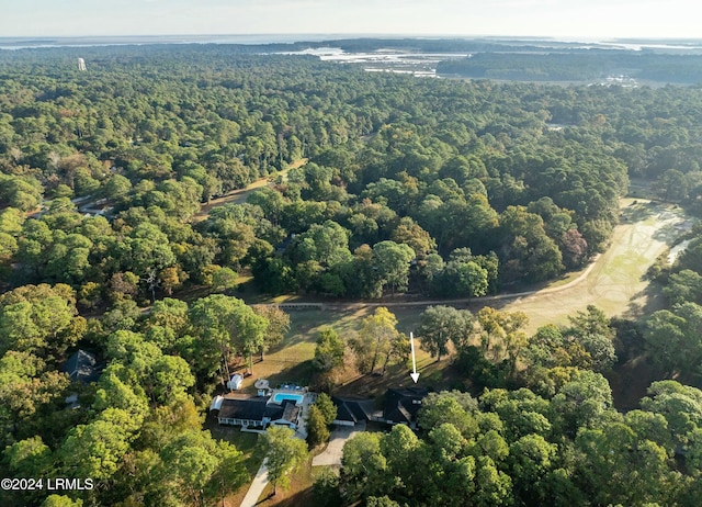 100 Thomas Sumter St, Beaufort, SC 29907 - aerial view of property's location with a forest