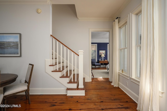 staircase with hardwood / wood-style floors and ornamental molding