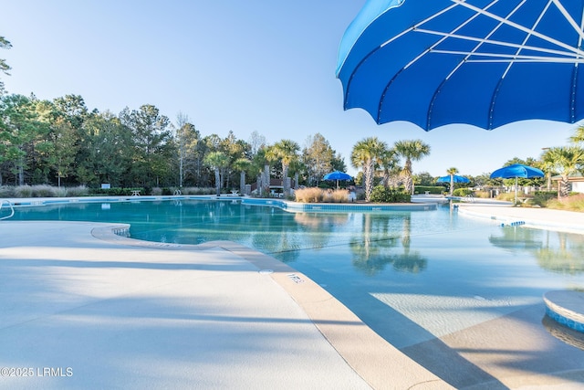 pool with a patio area