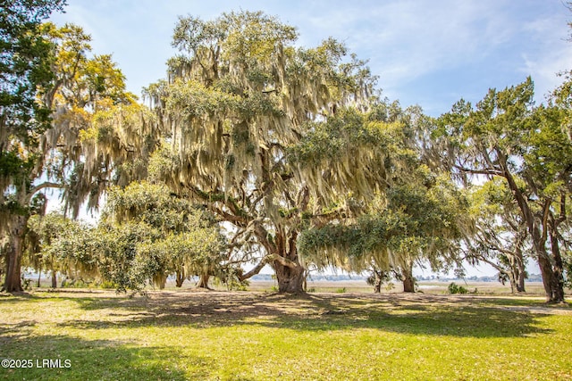 202 Harborview Dr, Beaufort, SC 29907 - photo 23