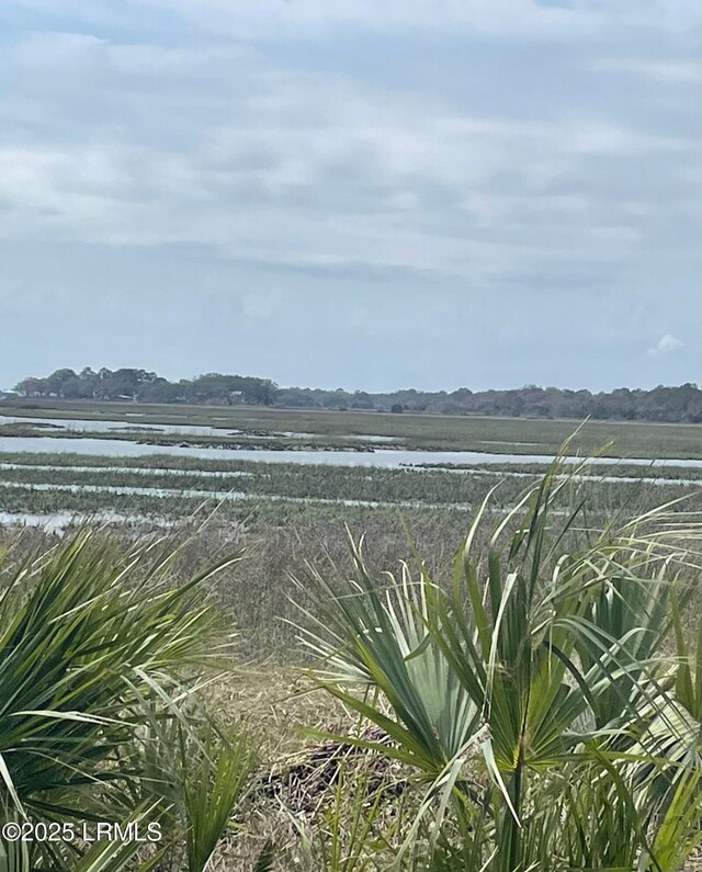 125 Horse Island Dr, Saint Helena Island, SC 29920 - photo 6
