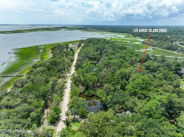125 Horse Island Dr, Saint Helena Island, SC 29920 - photo 4
