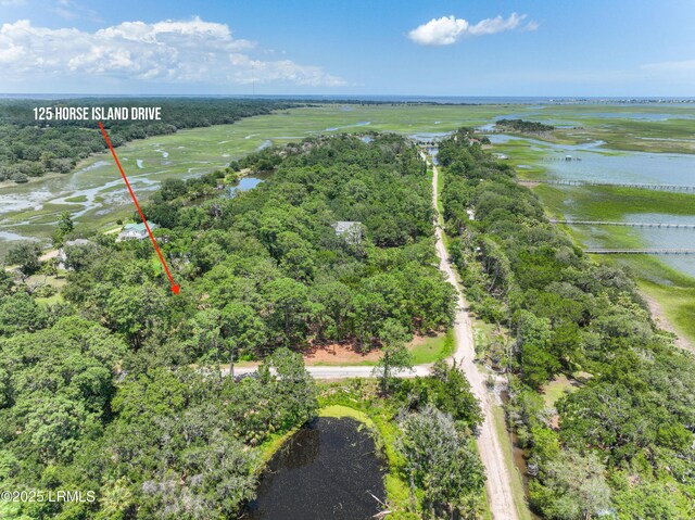 125 Horse Island Dr, Saint Helena Island, SC 29920 - photo 5