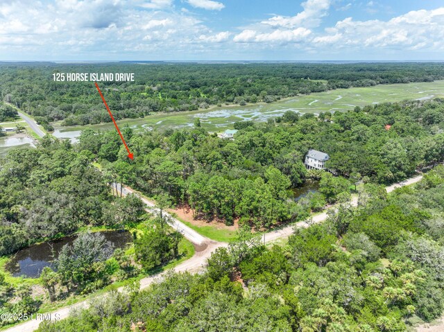 125 Horse Island Dr, Saint Helena Island, SC 29920 - photo 3