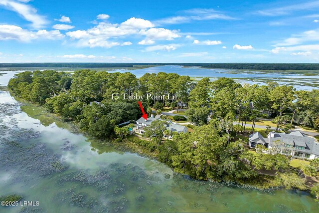 15 Tabby Point Ln, Okatie, SC 29909 - photo 48