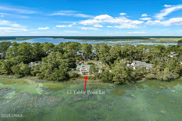 15 Tabby Point Ln, Okatie, SC 29909 - photo 49