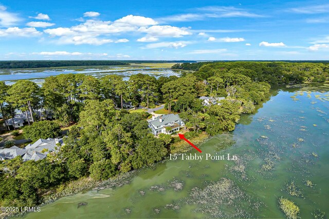 15 Tabby Point Ln, Okatie, SC 29909 - photo 50