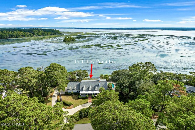 15 Tabby Point Ln, Okatie, SC 29909 - photo 46