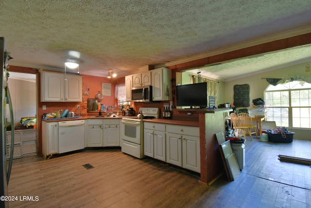 301 Old Pocotaligo Rd, Yemassee, SC 29945 - photo 7