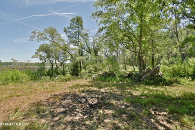 301 Old Pocotaligo Rd, Yemassee, SC 29945 - photo 22