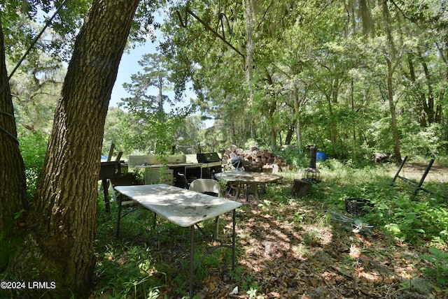 301 Old Pocotaligo Rd, Yemassee, SC 29945 - photo 17
