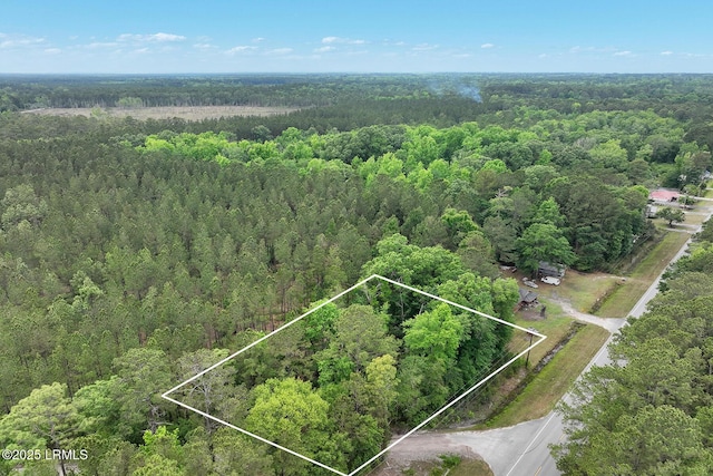 TBD Tillman Rd, Ridgeland, SC 29936