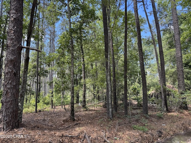 TBD Tillman Rd, Ridgeland, SC 29936