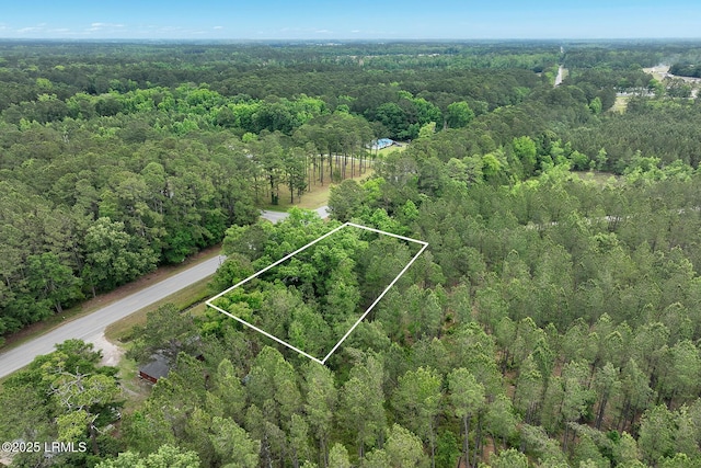 TBD Tillman Rd, Ridgeland, SC 29936