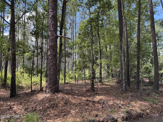 TBD Tillman Rd, Ridgeland, SC 29936
