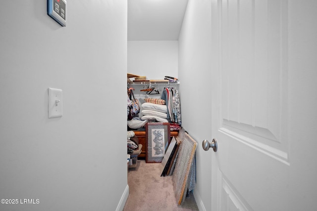 spacious closet featuring light colored carpet