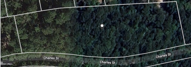 00 Charles St, Varnville SC, 29944 land for sale