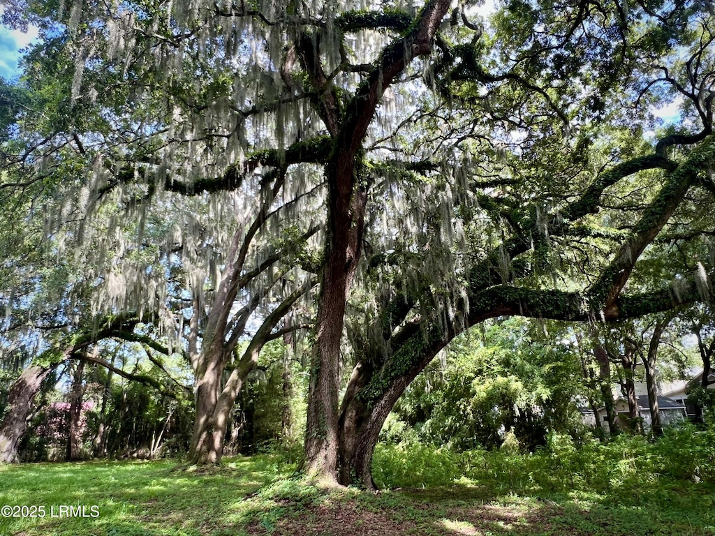 1107 Coleman Ln, Beaufort, SC 29902 - photo 2