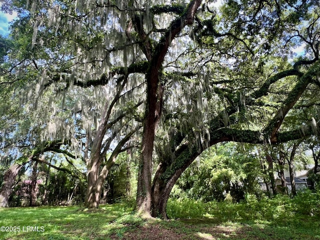 1107 Coleman Ln, Beaufort, SC 29902 - photo 2
