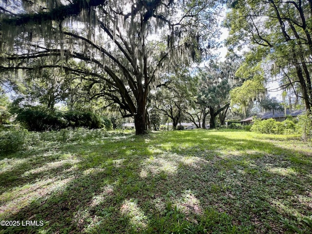 1107 Coleman Ln, Beaufort, SC 29902 - photo 4