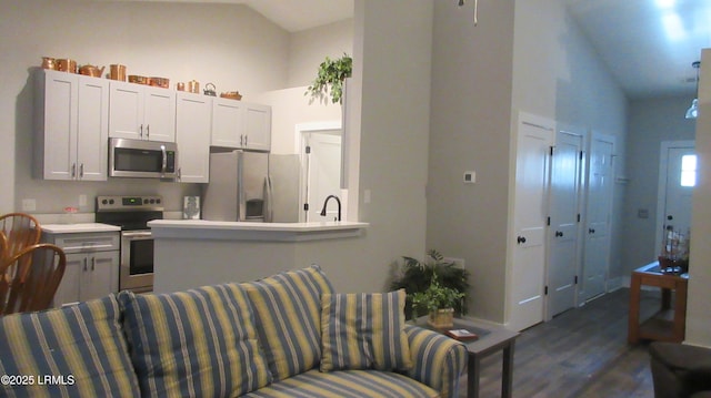 kitchen with a sink, high vaulted ceiling, stainless steel appliances, and dark wood-type flooring