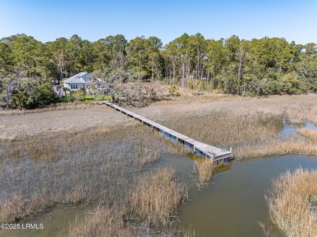 8 E River Dr, Beaufort, SC 29907 - photo 65