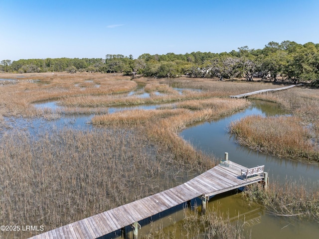 8 E River Dr, Beaufort, SC 29907 - photo 67