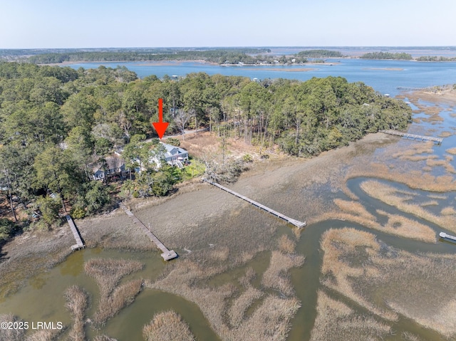 aerial view featuring a water view and a wooded view