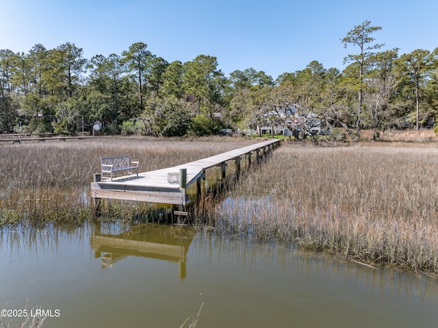 8 E River Dr, Beaufort, SC 29907 - photo 69