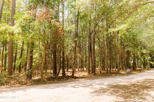 50 Stillwell Rd, Bluffton, SC 29910