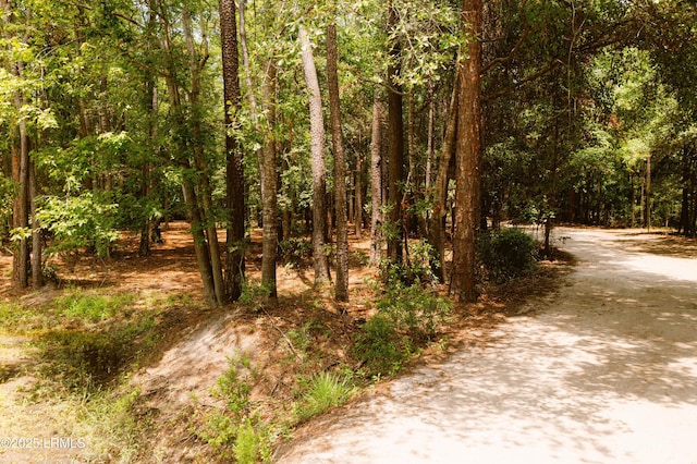 50 Stillwell Rd, Bluffton, SC 29910