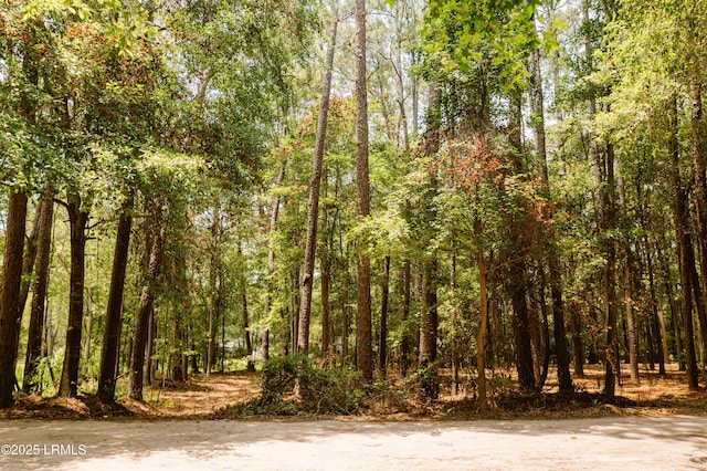 50 Stillwell Rd, Bluffton, SC 29910
