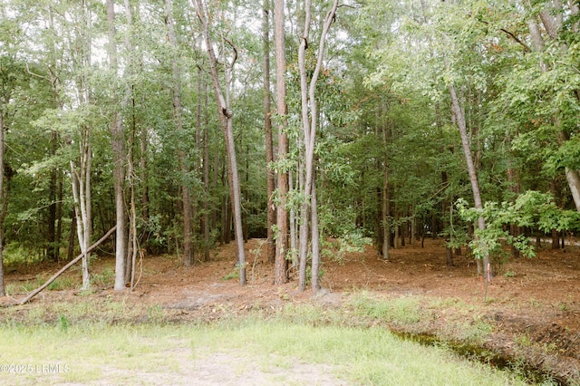 50 Stillwell Rd, Bluffton, SC 29910